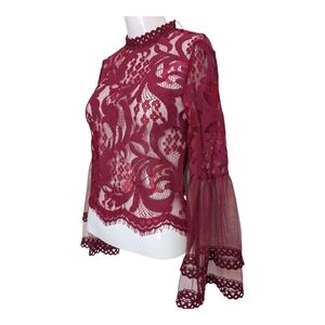 Raspberry Red Long Sleeve Lace Sheer Blouse Whimsy Goth Victorian